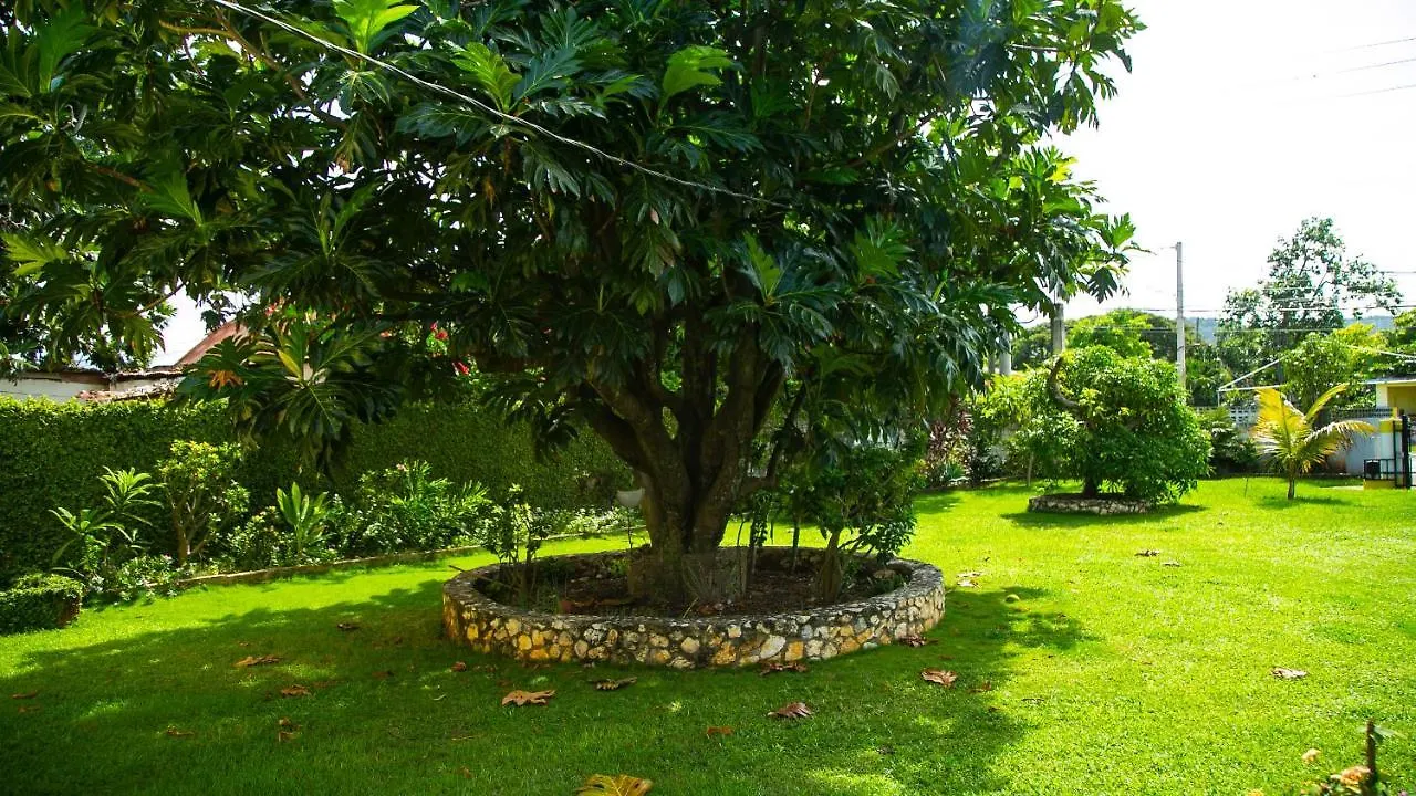 Hotel House Of Erabo Runaway Bay